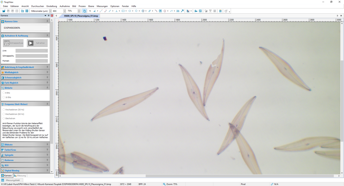Screenshot Kamerasoftware