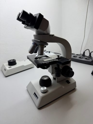 Hund medicus Labormikroskop