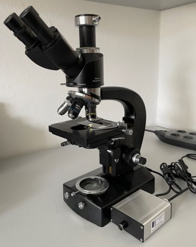 Zeiss Jena Nf mit LED